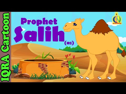 Prophet Stories SALIH (AS) | Islamic Cartoon | Quran Stories | Islamic Children Kids Videos - Ep 05