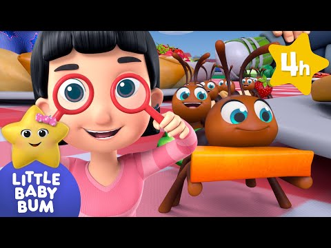 FOUR HOURS of Baby Songs | Ants go Marching &amp; More ⭐Little Baby Bum Nursery Rhymes | Baby TV