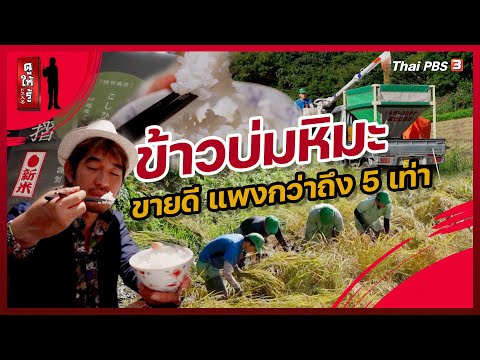 ข้าวบ่มหิมะ ขายดี แพงกว่าถึง 5 เท่า | ดูให้รู้ Dohiru [CC]