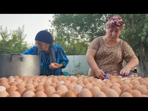 Delicious and Extraordinary Dishes with Just Eggs | An Ordinary Day in Our Village