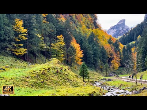 🍁 Most Beautiful Autumn in Appenzell Switzerland 🇨🇭 Spectacular Autumn Colors | 