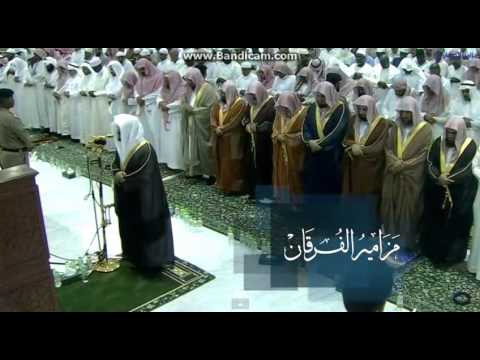 قصة سليمان والهدهد وبلقيس للشيخ ياسر الدوسري