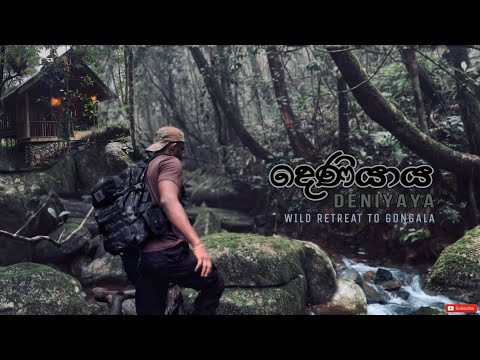 Deniyaya | දෙණියාය | Forest Retreat to Gongala | දිය ඇලි පිරුණු පාරාදීසයක ඇති ලී මාලිගය | 