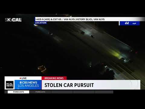 Live Police Chase in L.A