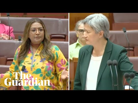 'Call for a ceasefire now': Mehreen Faruqi and Penny Wong in heated debate over Gaza