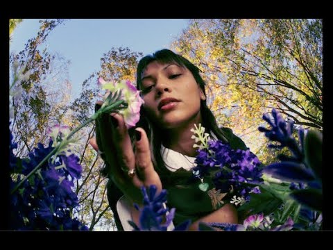 Marianne Ross - violet (Official Music Video)