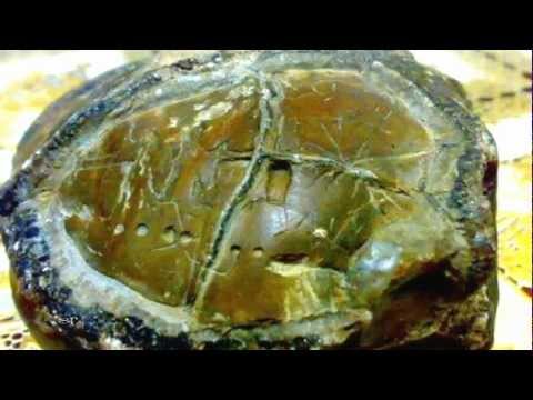 Alien Star Map Found In Kupang, Indonesia? 2013 1080p HD