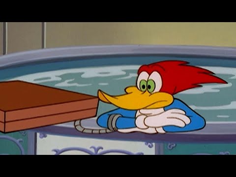 The longest secret mission | Woody Woodpecker