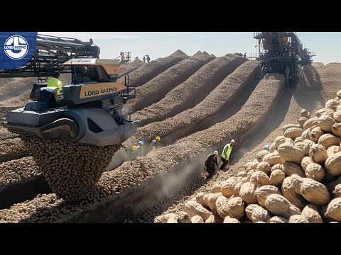 Harvesting MILLIONS Of Tons Of PEANUTS To Make Delicious Peanut Butter