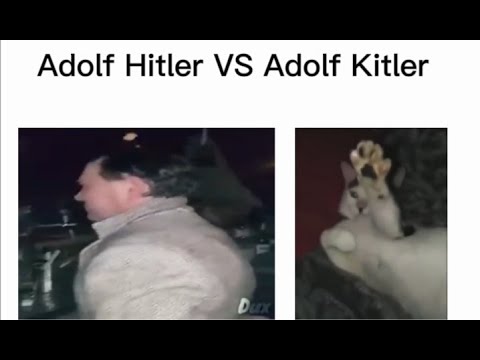 Adolf Hitler VS Adolf Kitler