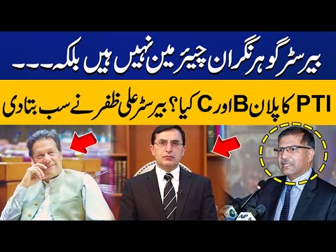 What is PTI Plan B and C? | Barrister Ali Zafar opens up about New Chairman PTI Gohar Khan