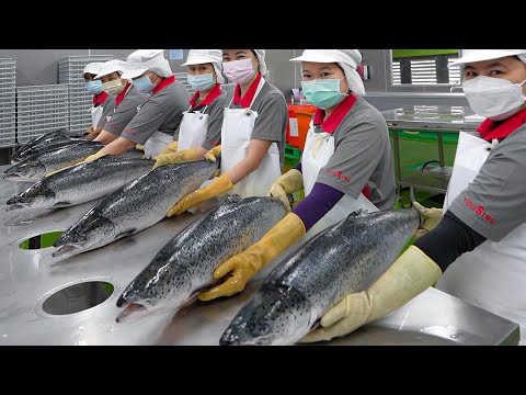 Salmon fish cutting &amp; salmon donburi making! / 鮭魚加工, 鮭魚丼飯 - Taiwanese food factory