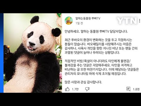 푸바오 사육사 향한 도 넘은 악플에 에버랜드 &quot;삭제 조치&quot; / YTN