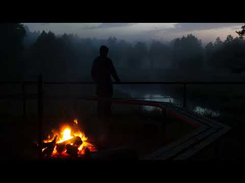 Immerse Yourself in the Tranquil Serenity of a Forest Campfire Night | Relaxing Nature Sounds