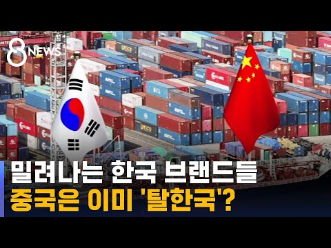 한때는 휩쓸었는데&hellip;중국 간 한국 브랜드들 근황 / SBS 8뉴스