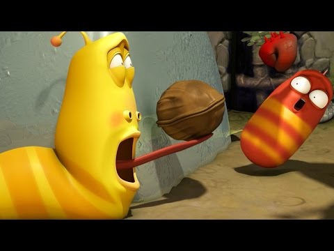 LARVA | WALNUT | Videos For Kids | LARVA Full Episodes