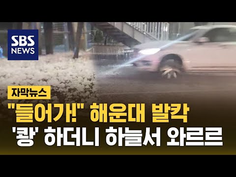 &quot;들어가!&quot; 해운대 발칵&hellip;무게 못 이기고 '와르르' (자막뉴스) / SBS