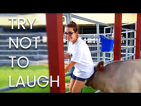 [2 HR] TRY NOT TO LAUGH Challenge 🤣 🤣  Best of the WORST FAILS!! Funny Videos Compilation | AFV 2023