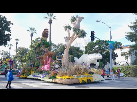 San Diego Wildlife Alliance wins Rose Parade honor reflecting history of conservation