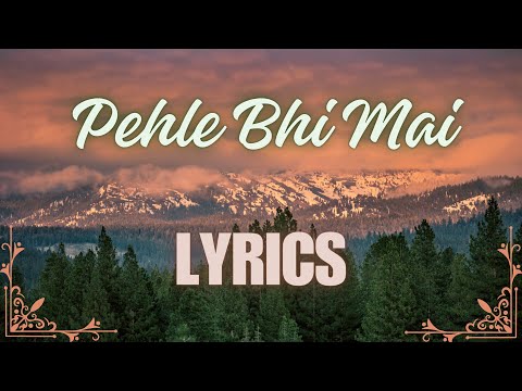 Pehle Bhi Mai (Lyrics) | Animal | Ranbir Kapoor | Sandeep V | Lyric Loom