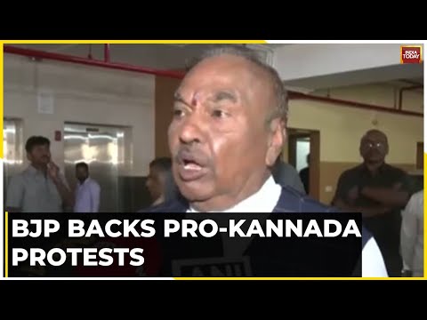 BJP Says Pro-Kannada Outfit Fighting For Kannada, Seeks Release Of Rakshana Vedike Workers | REPORT