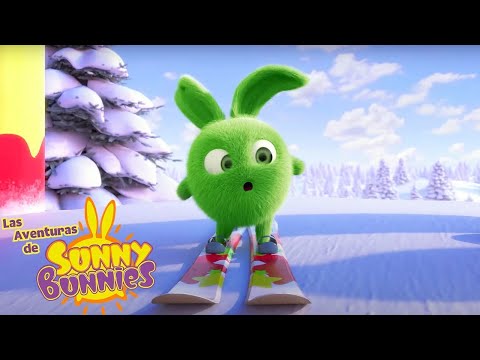 Las Aventuras de Sunny Bunnies | ESQUIAR | Dibujos para ni&ntilde;os