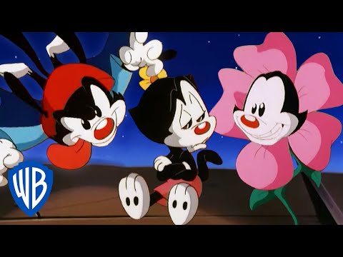 Animaniacs | What a Pun-derful World! 🤡 | Classic Cartoon Compilation | WB Kids