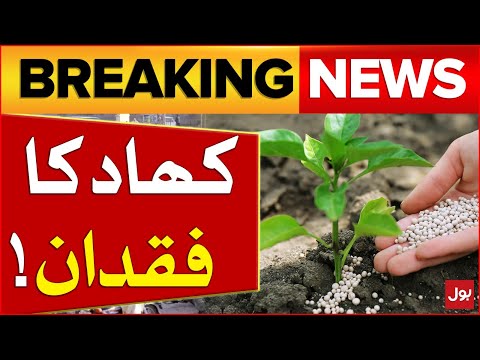 Fertilizer Severe Shortage In Pakistan | Latest Updates | BOL Pakistan | Breaking News