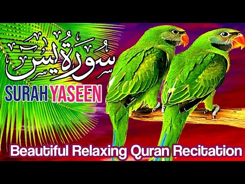 036Surah Yasin(Yaseen) | Full With Arabic | Beautiful recitation|یس سورہ 36| Ep00030