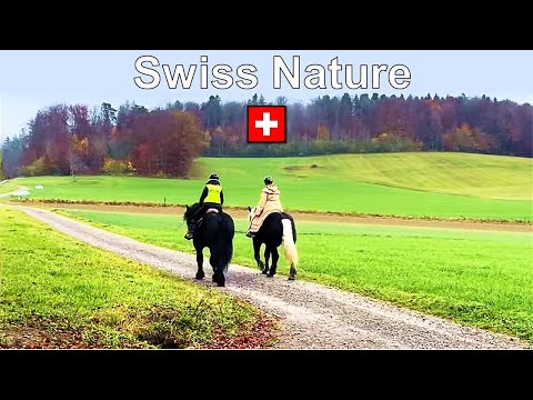 Swiss Nature Collection