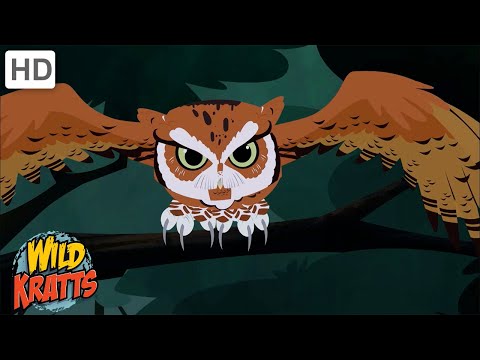 Scary Creatures of the Night | Spooky Nocturnal Creatures [Full Episodes] Wild Kratts