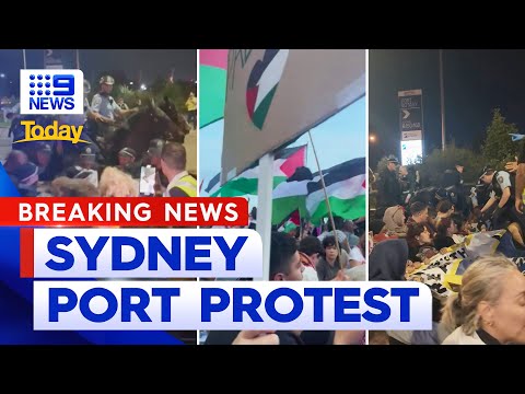 Pro-Palestinian rally to block off Sydney port turns violent | 9 News Australia