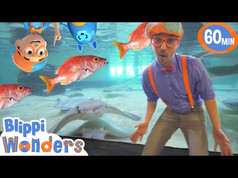 Blippi Visits an Aquarium! | Blippi &amp; Blippi Wonders Educational Videos for Kids