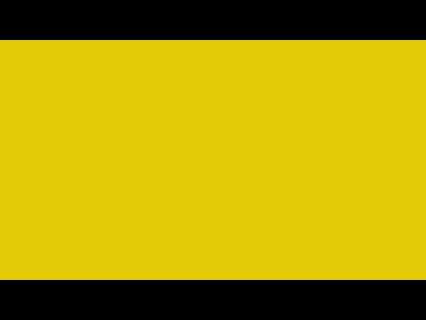 Corn Yellow Screen