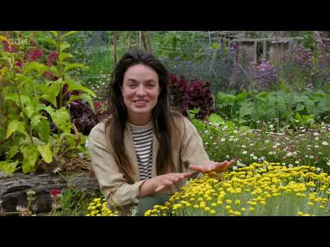 Gardeners' World 2023🍀Episode 23