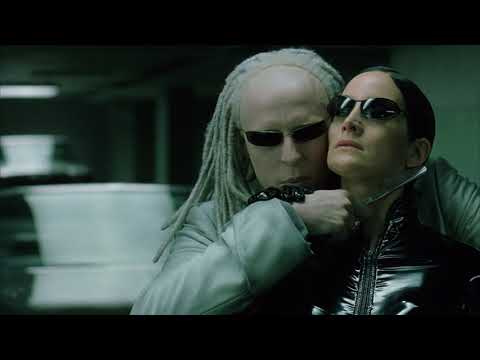 Trinity vs Twins | The Matrix Reloaded [Open Matte]