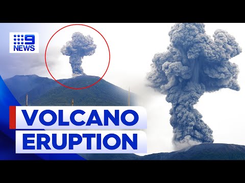 Hikers killed, survivors trapped by Indonesia volcano eruption | 9 News Australia