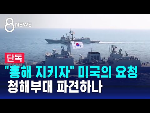 [단독] &quot;홍해 지키자&quot; 한국도 요청받았다&hellip;청해부대 파견하나 / SBS 8뉴스