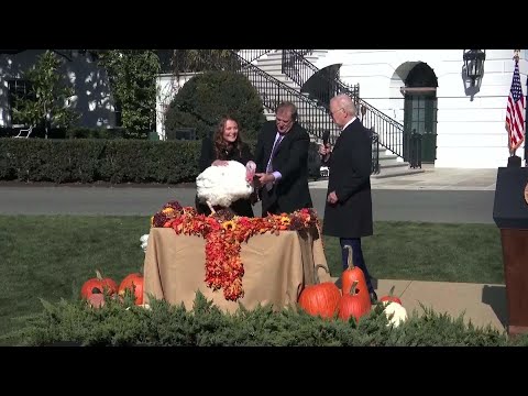 President Biden Pardons Two Thanksgiving Turkeys