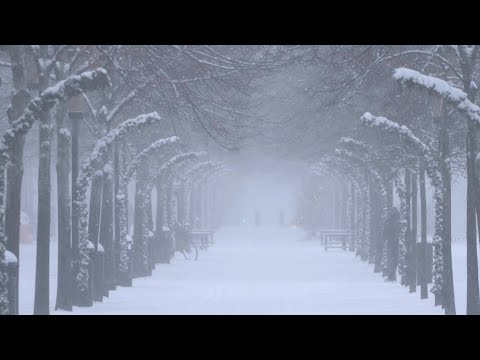 Europe sees first snow of the year as winter moves in | AFP