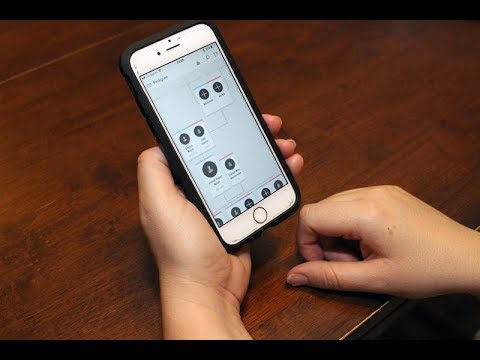 Family Tree Mobile App