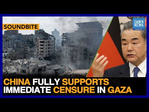 China Fully Supports Immediate Censure In Gaza, Says Chinese FM Wang Yi | Dawn News English