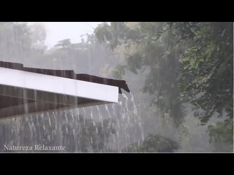 Rain Sounds for Sleeping - Sound of Heavy Rainstorm &amp; Thunder in the Misty Forest At Night