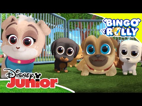 Bingo y Rolly: Cachorros problem&aacute;ticos | Disney Junior Oficial