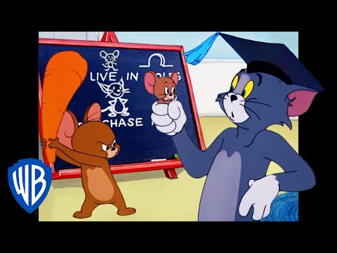 Tom &amp; Jerry | School is in Session 🐱🐭 | Classic Cartoon Compilation | WB Kids