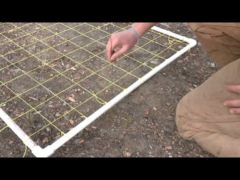 San Francisco ecologists testing human and animal hair to help grow plants in Presidio