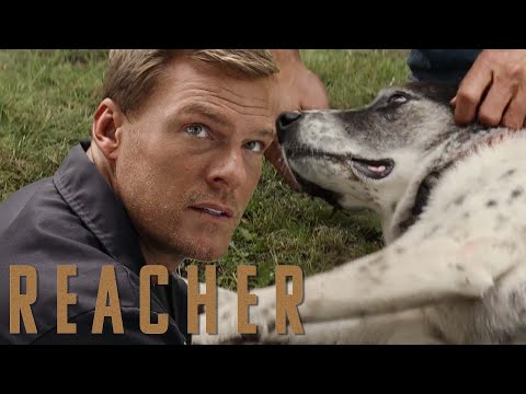 Reacher Rescues a Mistreated Dog | Reacher