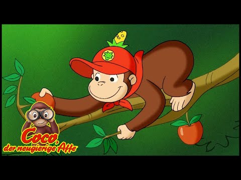 Coco der Neugierige Affe 🐵 Ausflug der Sprossen 🐵 Cartoons f&uuml;r Kinder🐵 Coco der Affe Ganze Folge