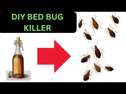 How to kill bed bugs with vinegar 