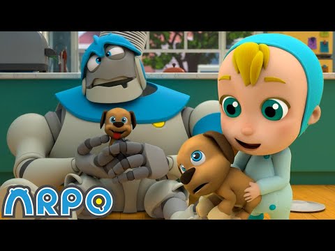 Puppy PRESENT!! | Baby Daniel and ARPO The Robot | Funny Cartoons for Kids